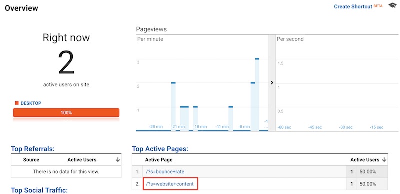 Search Results in Google Analytics